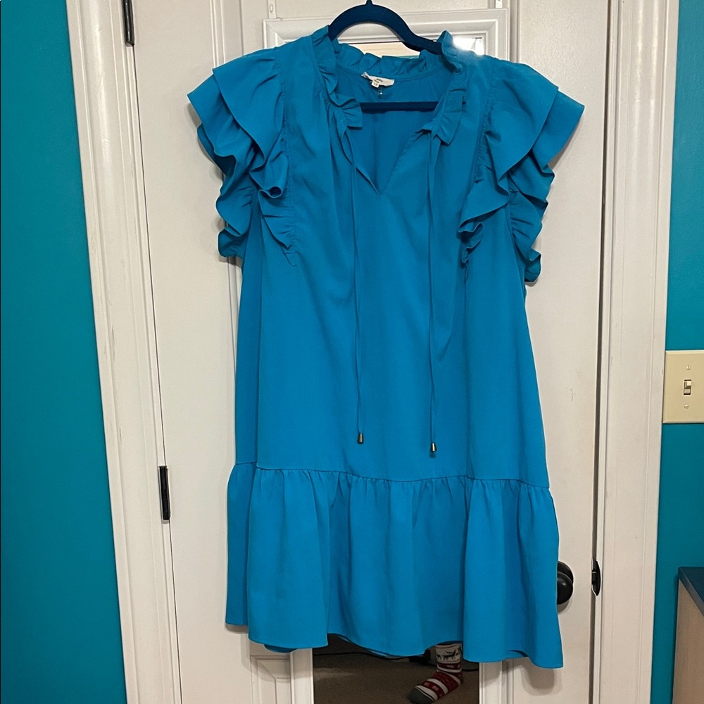 Entro Vibrant Blue Ruffle sleeve dress